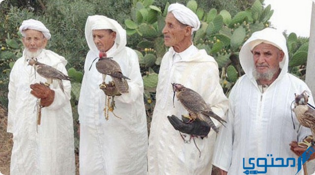 قبيلة القواسم