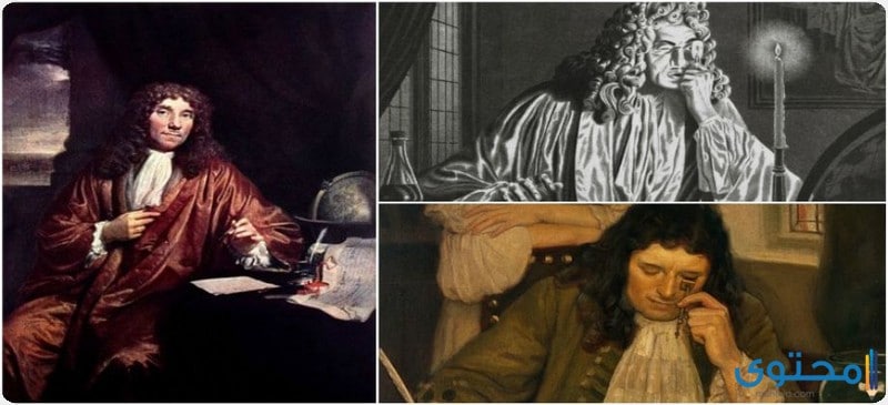 أنطوني فان ليفينهوك