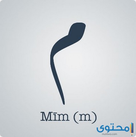 مهنة تبدأ بحرف الميم