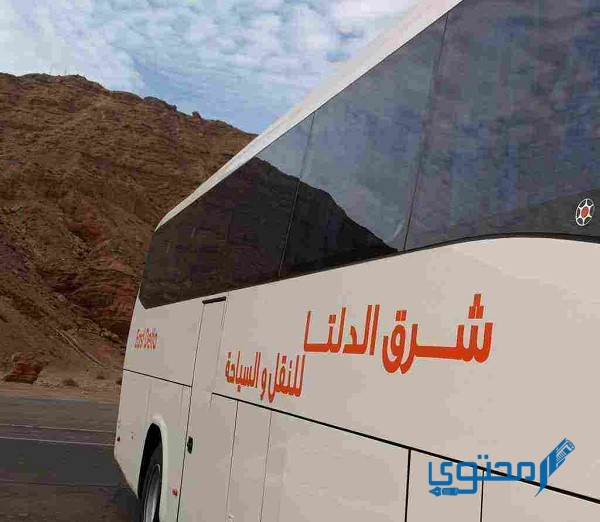 شرق الدلتا في المنصورة