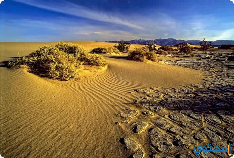 وادى الموت فى كاليفرونيا