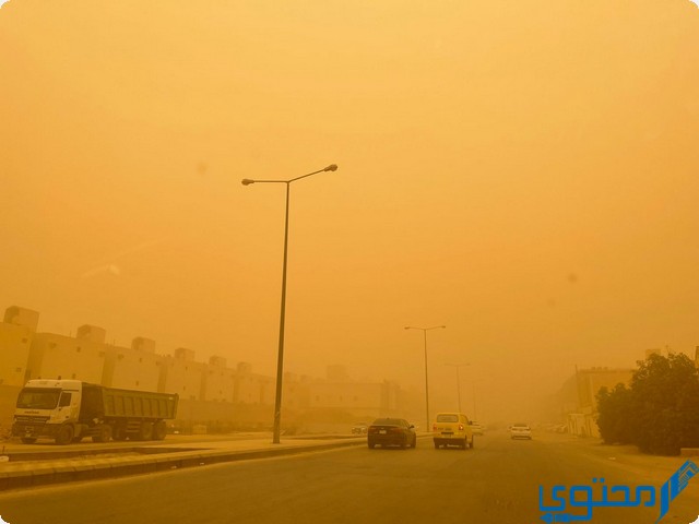 موسم ‎الغبار الربيعي