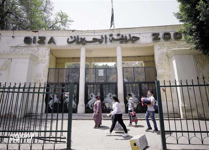 تعبير عن حديقة الحيوان