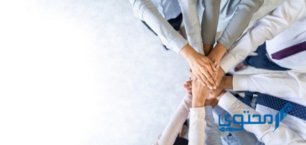 موضوع تعبير عن الوحدة الوطنية