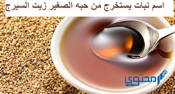 نبات يستخرج من حبه الصغير زيت السيرج