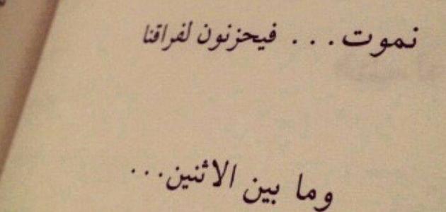 أقوال وعبارات عن الندم بعد فوات الأوان