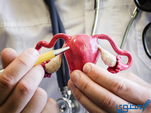 نزول سائل لزج مع دم الدورة