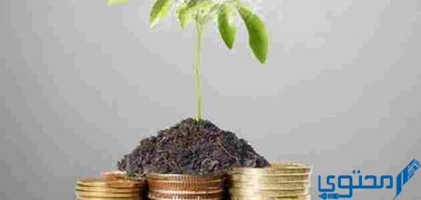 نسبة زكاة الفطر في العراق