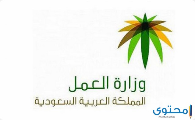 خطوات عمل استعلام عن نطاق مؤسسة او وافد 1446