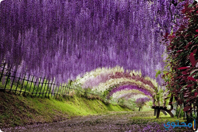 أجمل الأماكن السياحية