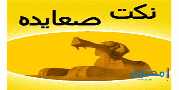 نكت صعايدة مضحكة وقصيرة 2025