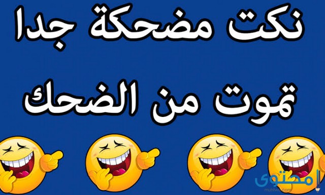 نكت نمل وفيلة مضحكة جدًا جديدة 2025