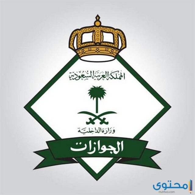 نموذج نقل معلومات جواز السفر