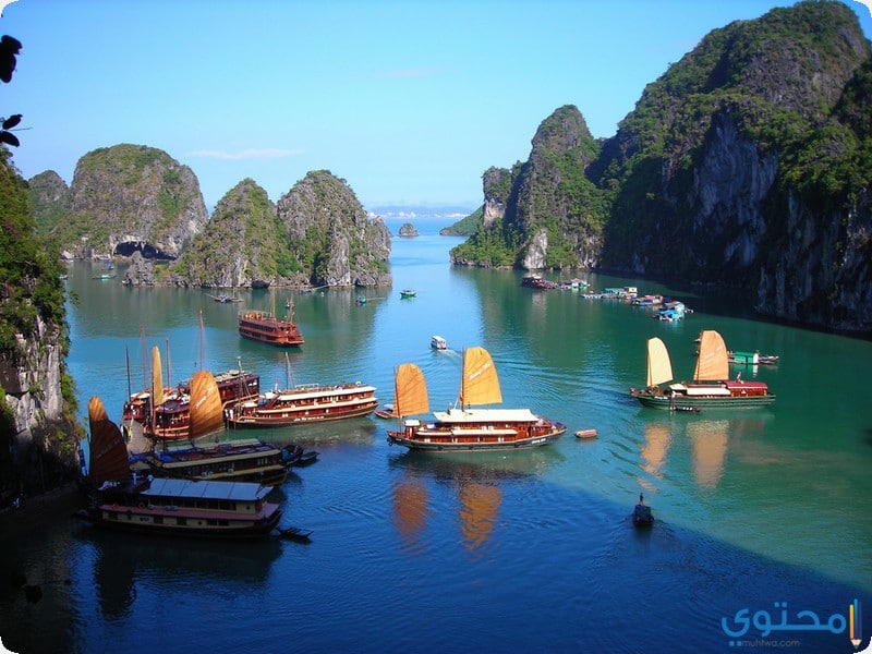 خليج هالونغ