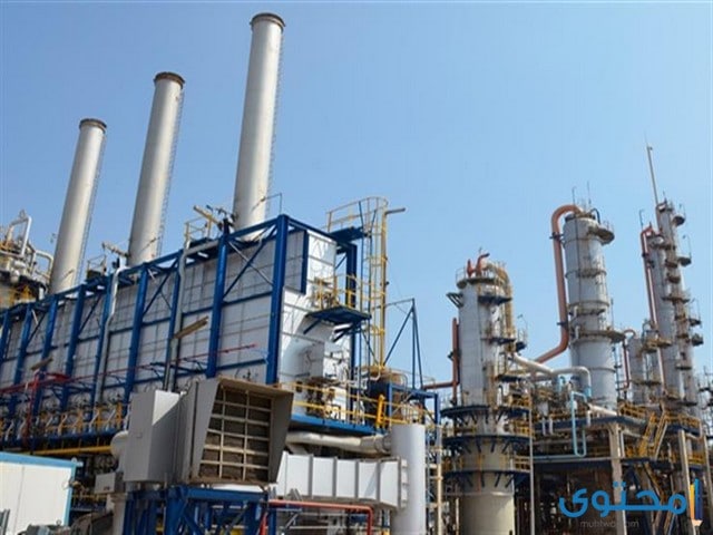 هل تعلم عن الصناعة