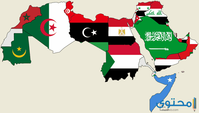 هل تعلم عن الوطن العربي قصير ومفيد