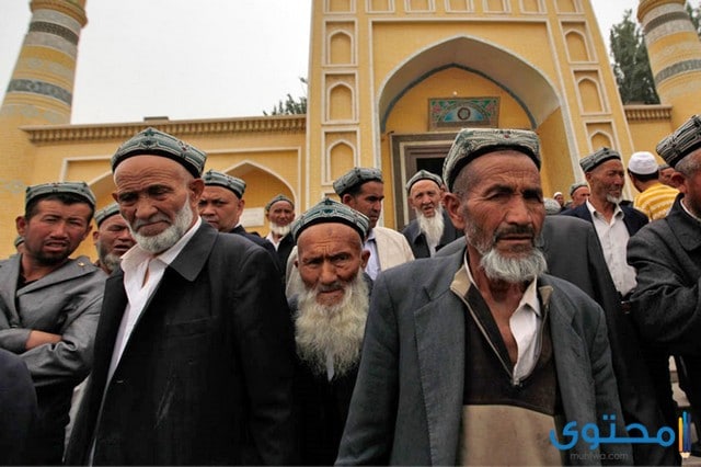 هل تعلم عن مسلمي الإيغوار قصير ومفيد