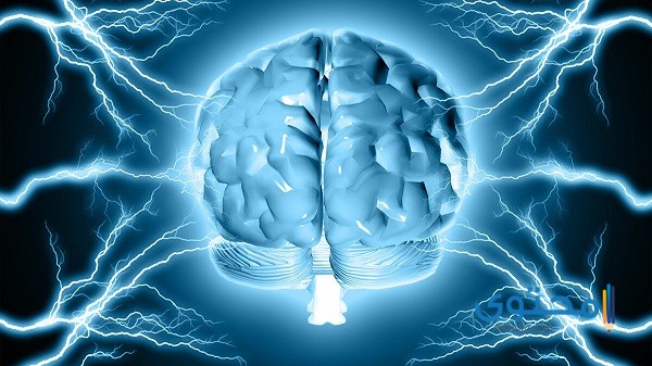 هل يمكن الشفاء من الموت الدماغي