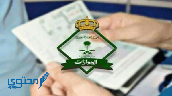 هل يمكن تمديد تأشيرة الخروج والعودة 2025