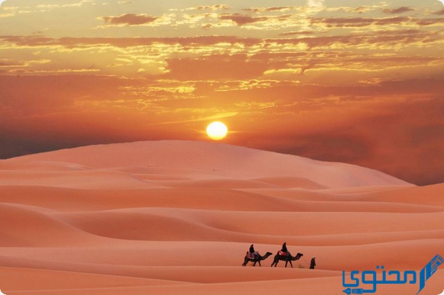 وش يرجعون الدواسر