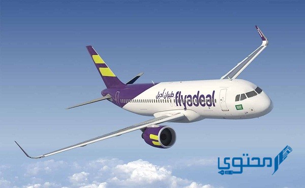 وظائف في طيران أديل 1446 flyadeal