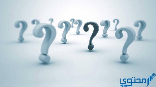 يعد نموذج الطائرة مثالًا على نموذج؟